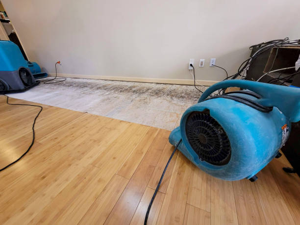 Professional Water Extraction technician working in Sparks, NV